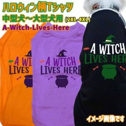 ハロウィン柄！犬用Tシャツ A-WITCH-LIVES-HERE 犬服 halloween ハロウィーン風ロゴ 犬服 中型犬～大型犬 2XL～4XL 4色展開 リンクコーデ メール便送料無料【返品、交換、キャンセル不可】