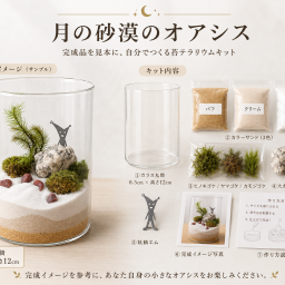 【手作りキット】苔のテラリウム「月の砂漠のオアシス」 – あなただけの癒しの空間をデスクに