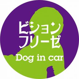Dog in car ドッグインカー ステッカー カーステッカー ビションフリーゼ レトロ書体 パープルグリーン シール 煽り運転対策 カーサイン
