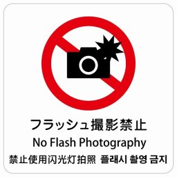 フラッシュ撮影禁止 インバウンド 多言語 英語 中国語 韓国語 対応 サインステッカー シール ピクトサイン 正方形 商業施設 飲食店 旅館 ホテル レンタル イベント 表示 場所 掲示 案内板 注意喚起 防水 屋内 屋外