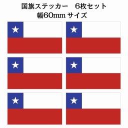 60x34mm 6枚セット チリ Chili 国旗 ステッカー シール National Flag 国 旗 塩ビ製
