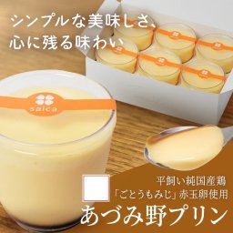 あづみ野プリン6個入(カスタード)プリン