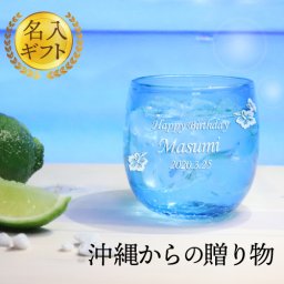 【名入れ 送料無料】沖縄で超定番！ みんな大好きトロピカルタルグラス。1個/単品