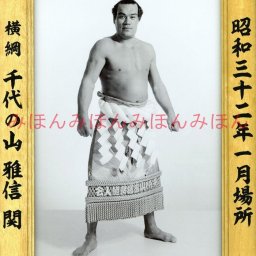 千代の山雅信関　優勝ミニ額 大相撲ミニ額 大相撲優勝額　昭和３２年１月場所 全勝 横綱 千代の山雅信関（６回目の優勝） ※受注生産品のため、ご注文後はいかなる理由でも返品、返金はできません