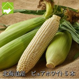 幻の白いトウモロコシ　北海道産　ピュアホワイト　５本入り