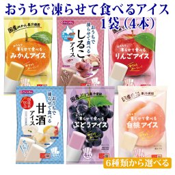 お中元 シャーベット アイス おやつ おうちで凍らせて食べるアイス 1袋（4本入） 送料無料 メール便 お取り寄せグルメ ポイント消化