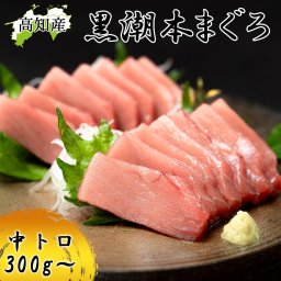 本マグロ 高知県大月町産 中トロ 300g(2ブロック)不定貫 本鮪 プロトン凍結 まぐろ クロマグロ 黒鮪 養殖 黒潮 本まぐろ 大月 マグロ 鮮魚 冷凍マグロ 冷凍まぐろ 鮪 高知産 直送 切り身 まぐろ丼 刺身 父の日 ギフト お祝い プレゼント 高級グルメ 【ヤマトクール便・送料無料】