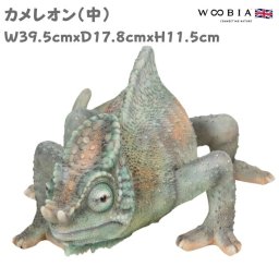 置物 カメレオン 中 かわいい 爬虫類 オブジェ 北欧 動物 横幅39.5cm woobia ウービア 大きい おしゃれ ガーデン インテリア プレゼント 玄関 雑貨 モダン 面白い 庭 ギフト 屋外 家 リアル 玄関先 ガーデンオーナメント