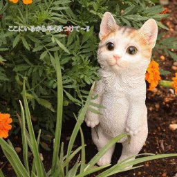 デバリエ ca75m【正規品】猫の置物 サバトラ 三毛猫 茶トラ レジン製 ギフト 最適なプレゼント 