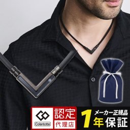 TAOネックレス α VEGA NEXT マット