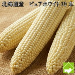 幻の白いトウモロコシ　北海道産　ピュアホワイト　１０本入り