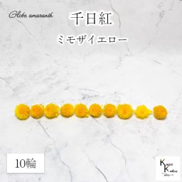 大地農園！プリザーブドフラワー 　10輪【千日紅　センニチコウ ミモザイエロー】ヘッドのみ　プリザ　花材 ハーバリウム おしゃれ かわいい プレゼント 贈り物　オオチノウエン