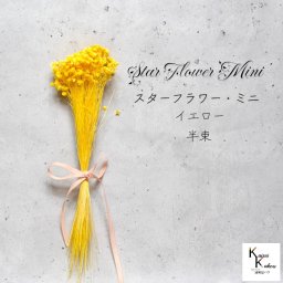 大地農園！「スターフラワー ミニ イエロー 半束 約6g（約200本）」 ドライフラワー プリザーブドフラワー 花材 プリザ アレンジ 資材 敬老の日