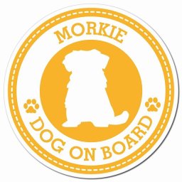 MORKIE マルーキー イエロー 肉球 カーサイン 車 マグネットステッカー 犬 マグネット 強力 直径13cm 丸型 おしゃれ かわいい ドラレコステッカー 安全対策 危険運転 煽り運転 アニマル 動物 犬種別 屋外 防水 屋内 肉球マーク