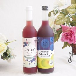 ぶどうを使った果物酒2本セット(奥の松 なつはぜふるーてぃ6度(福島県) 中野BC 紀州の梅酒とブルーベリー12度(和歌山県)) 500ml×1本 720ml×1本