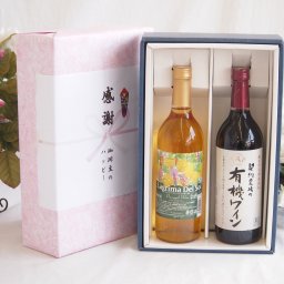 実りの秋の贈り物 感謝の贈り物ボックス 沖縄産パイナップル辛口白ワインと酸化防止剤無添加ワインセット(酸化防止剤無添加 契約農場の有機赤ワイン やや甘口(長野県)720mlラグリマ・デル・ソル辛口白ワイン 720ml