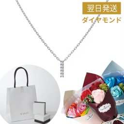 0.012ct ダイヤモンドクロスプラチナネックレス