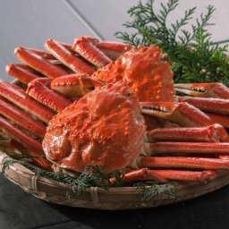 本ズワイ 蟹 2尾 総量900g前後 ボイル済 ずわいかに姿  ずわいがに ズワイガニ