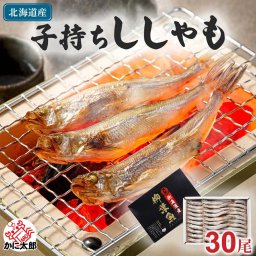 子持ち 本シシャモ　30尾入り　（中サイズ）　北海道鵡川・広尾・厚賀・釧路産 ししゃも 脂のりも良く、ご飯のおかずに最適 干物 柳葉魚 干し魚 ぷちぷち卵の食感も味わえます 焼き魚