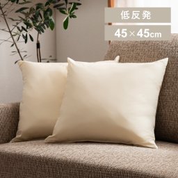 クッション 中身 低反発チップ ヌードクッション 10107低反発チップヌードクッション 生成り クッション 中身 低反発 背当て 45角 インテリア 国産  誕生日  結婚祝い  引っ越し祝いギフト プレゼント 景品