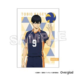 ハイキュー！！ 影山飛雄 布ポスターパターンアート