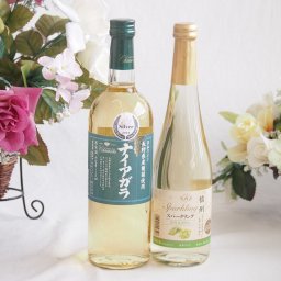 長野県産葡萄ナイアガラ種使用ワインと国産ワイン2本セット(信州シャインマスカット＆ナイアガラ スパークリングワインやや甘口(長野県)500mlナイアガラやや甘口白ワイン(山梨県)720ml