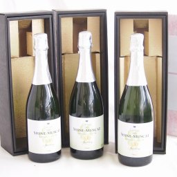 3本セット(贈り物ギフトセット 山梨県産シャインマスカット100 スパークリング10度やや甘口) 750ml×3本