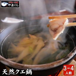 天然クエ鍋セット３～４人前(450ｇ)(お歳暮 お中元 ギフト おせち おせち料理 お正月 クエ鍋 くえ鍋 久恵 魚 魚料理 和食 お歳暮 母の日 父の日 お中元
