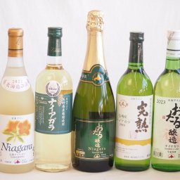 ナイアガラ葡萄フルーティーでフレッシュな風味ワイン5本セット(信州産完熟ナイアガラ 長野県産葡萄ナイアガラ おたるナイアガラスパークリングワイン 生葡萄おたる ナイアガラ 生葡萄おたる完熟ナイヤガラ) 720ml×5本
