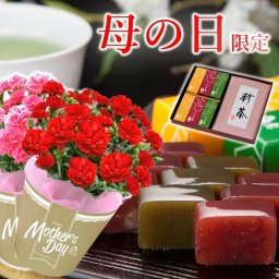 【5月7日～11日までにお届け】 選べる母の日ギフト 花 一口羊羹と新茶セット 生花 5号鉢 カーネーション 赤色or桃色 花とスイーツ 鉢植え 花鉢 和菓子 花とお菓子 母の日 プレゼント 贈り物 抹茶スイーツ 羊羹 【 抹茶 栗 小倉 】一口ようかん 2025年度産 国産 新茶 お茶 緑茶 茶葉 個包装 お祝いギフト 京都 お花 食べ物 送料無料