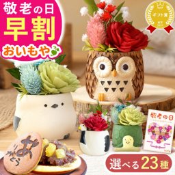 ＼早割！9/8の16時まで／ 敬老の日 誕生日 プレゼント 夏ギフト ギフト 花 フラワーギフト プリザーブドフラワー ミニ 動物 アニマル フラワーアレンジメント バラ 薔薇 一輪 置き物 ふくろう 犬 猫 かわいい おしゃれ どら焼き 送料無料 スイーツ お菓子 和菓子 母 実母 自分の母 義母 妻 40代 50代 60代 70代 花セット 花とお菓子 2000円 3000円
