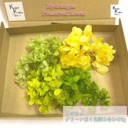 「プリザーブド 花材 アジサイ 小分け　グリーン系4色5g」プリザ　ハーバリウム 花材 プリザーブドフラワー 紫陽花 小分け 4色 ネコポス