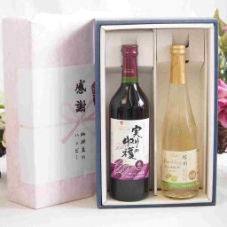 実りの秋の贈り物 感謝の贈り物ボックス 国産やや甘口赤ワインと国産ワインセット(信州シャインマスカット＆ナイアガラ スパークリングワインやや甘口(長野県)500mlヴィンテージ実りの収穫 赤ワイン720ml