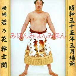 若乃花幹士関　優勝ミニ額 大相撲ミニ額 大相撲優勝額　昭和３５年３月場所 全勝 横綱 若乃花幹士関（８回目の優勝） ※受注生産品のため、ご注文後はいかなる理由でも返品、返金はできません
