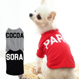 ビッグロゴTシャツ XXL-3XLサイズ ペット 犬服 犬の服 名入れ 名前入り 名入り 名前入り 半袖 春 夏 Tシャツ おしゃれ かわいい 犬 飼い主 服 好き プレゼント 誕生日 小型犬 中型犬 チワワ トイプードル ポメラニアン マルチーズ マルプー ダックスフンド