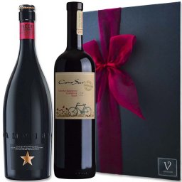 夏ギフト お中元 ビール ギフト【無料リボンラッピング】 ビール ギフト クリスマス ビール ワイン ギフト 2本セット「プレミアムビール スペインビール イネディット」「オーガニック カベルネ/カルメネール/シラー 赤ワイン ミディアムボディ チリ」750ml リボン化粧箱包装