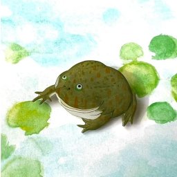 「マルメタピオカガエルブローチ 」　マルメタピオカガエル カエル 蛙 マグネット 海の生き物 アクセサリー　レディース　可愛い　カラフル　日本製　ナチュラル　プチギフト　ギフト