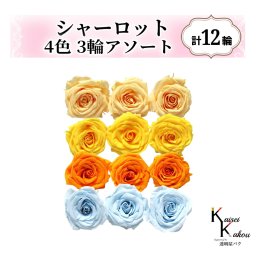 大地農園！プリザーブドフラワー「シャーロット 4色×3輪アソート 計12輪」「ジュリアオレンジ ミモザイエロー フルーティオレンジ ベビーブルー」プリザ 花材 ハーバリウム おしゃれ ピンク バラ かわいい プレゼント 贈り物 オオチノウエン
