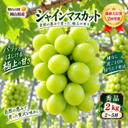 【予約】岡山県産 シャインマスカット 2kg 2～5房 贈答用秀品 国産 フルーツ