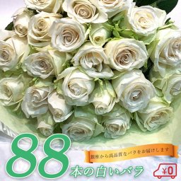 白バラ88本の花束 東京銀座クオリティー 母の日 母の月 父の日 プレゼント お祝い 記念日 ギフト 送料無料 送料込み 税込 還暦 プロポーズ 誕生日 卒業 退職 還暦 【生花】