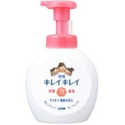 ライオン　キレイ薬用泡ハンドソープフルーツミックスの香り本体５００ｍｌ【4903301269076】