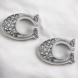 コーチ ピアス レディース ブランド COACH F29824 シルバー