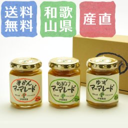 【送料無料】伊藤農園 素材そのままマーマレード 3個【誕生日 結婚祝い 出産祝い 還暦祝い 結婚記念日 送別会 お祝い 引越し祝い 新築祝い 初節句 古希 喜寿 傘寿 お返し 内祝い お見舞い 快気祝い 金婚式 銀婚式 パーティー 景品 賞品 グルメ 母 父 女性 男性 両親 友達 親戚 上司 先輩 後輩 家族 子供 大人 彼氏 彼女 夫婦】【お歳暮 ハロウィン】