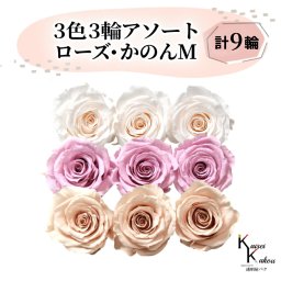 大地農園 「ローズかのんM 3色×3輪アソート 計9輪」 「ホワイトシャンパン クリスタルピンク シャンパンピンク」　プリザーブドフラワー バラ プリザ 花材 ハーバリウム おしゃれ かわいい プレゼント 贈り物 オオチノウエン