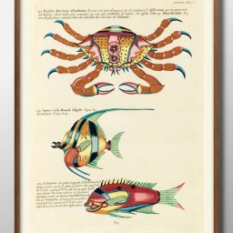 海洋生物 ビンテージイラスト A3 サイズ ポスター アート おしゃれ 絵画 インテリア 北欧 イラスト マット紙 艶消し アートパネル 額 フレーム デザイン 壁掛け ギフト 新築祝い ディスプレイ 引越し祝い　新生活　空間デザイン 