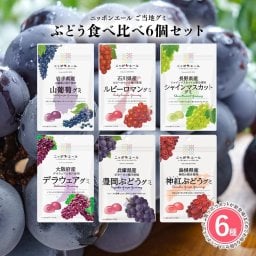 【メール便配送】ぶどうグミ 6種類セット 全国農協食品 ニッポンエール ご当地グミ ご当地 お菓子 グルメ お土産 名産 果実グミ アソート