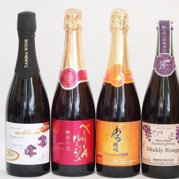 スパークリング赤ワイン4本セット(おたる醸造 スパークリング赤 キャンベルアーリ 甘口 山梨県マスカット・ベーリーAルージュ赤 酵母の泡 やや辛口 マディルージュー コンコード甘口 京都丹後サペラヴィ 赤中口) 720ml×2本 750ml×2本