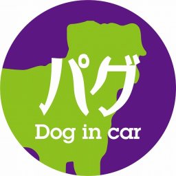 Dog in car ドッグインカー ステッカー カーステッカー パグ レトロ書体 パープルグリーン シール 煽り運転対策 カーサイン