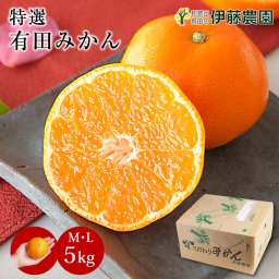 お中元 暑中見舞い ギフト 誕生日 結婚祝い 出産祝い 内祝い ギフト 正月 年始 みかん 5kg 贈答用 秀品 特選 送料無料 和歌山 M L 伊藤農園 大玉 中玉 手詰め 有田みかん 温州みかん 約30個～40個 果物 出産内祝い 贈答 ギフト