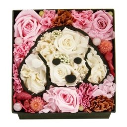 送料無料「愛犬トイプードル」プリザーブドフラワー 敬老の日 母の日 ギフト プレゼント フラワーアレンジメント 犬 ねこペット お花 ボックスフラワー 動物 メモリアル